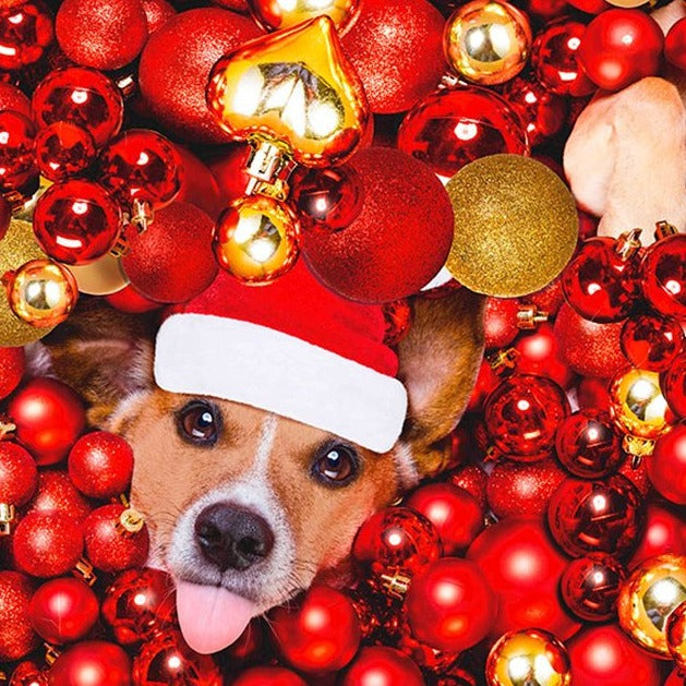**SALE**Digital Cotton Print - Christmas Dogs